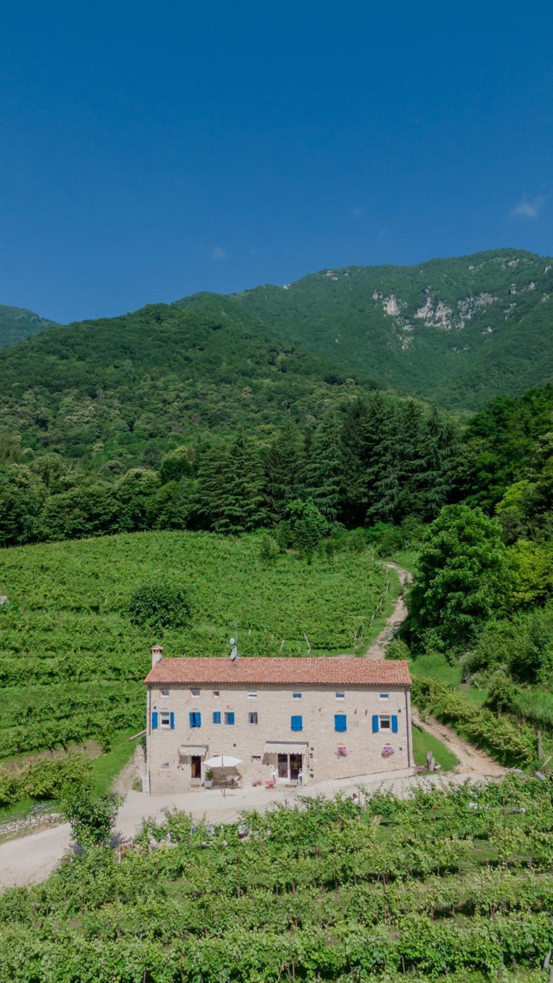Agriturismo Podere Del Bosc Valmareno Exterior photo
